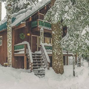 Moosewood Cabin Villa Government Camp Exterior photo