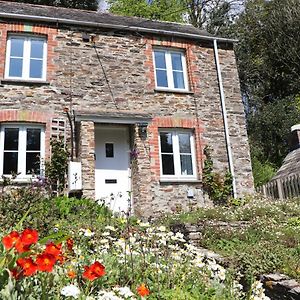 Idyllic Cottage Near Padstow Little Petherick Exterior photo