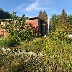 Familienparadies Leinemühle - Kinder, Eltern und Haustiere an einem Ort Villa Pansfelde Exterior photo