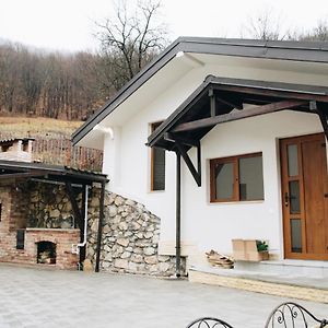 Casa Dintre Brazi Hunedoara Exterior photo