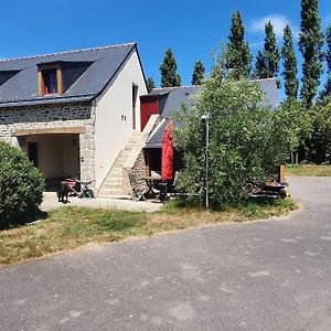 Tout Le Confort Au Milieu D'Un Parc Botanique Villa Noyal-Muzillac Exterior photo