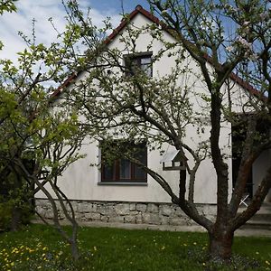 Hezká chalupa Hostal Strmilov Exterior photo