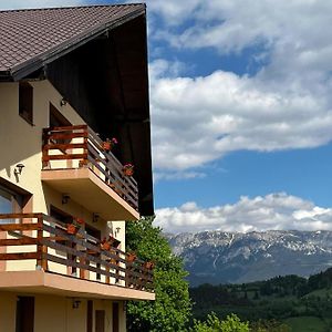 Hotel Transylvanian House Drumu Carului Exterior photo