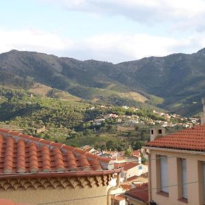 Apartamento Studio Climatise A Banyuls-Sur-Mer, Terrasse, Wifi, Proche Plage - Fr-1-309-323 Exterior photo