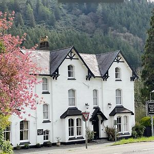 Hotel The Buckley Arms Dinas Mawddwy Exterior photo