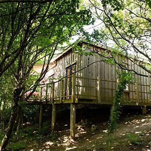 The Hyde- Secret Hide Away, Near The Beach. Villa Truro Exterior photo