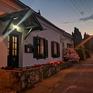 Gomba Panzió Bed and Breakfast Velem Exterior photo