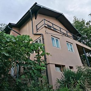 Casa Ema Hotel Orşova Exterior photo
