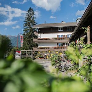 Aktiv-Hotel Steinpent Ahrntal Exterior photo