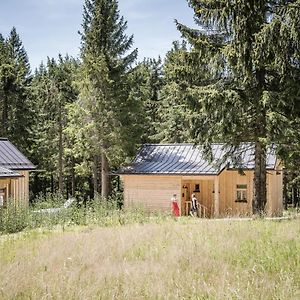 Ramenai - Das Boehmerwaldlerdorf Villa Ulrichsberg Exterior photo