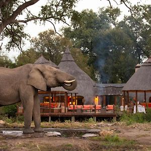 Hoyo Hoyo Safari Hospedaje Villa Mluwati Concession Exterior photo