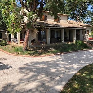 Au Coeur Des Arbres Bed and Breakfast Fontarèches Exterior photo