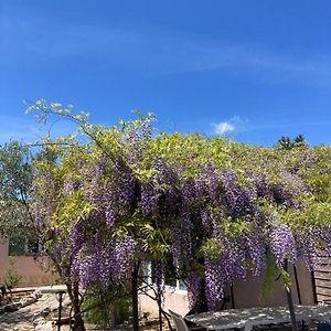 Le clos des olivettes Bed and Breakfast Sainte-Croix-de-Quintillargues Exterior photo