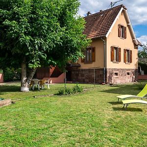 La Maison De Vacances De Colmar Et Son Jardin Exterior photo