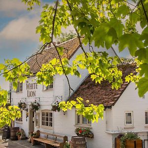 Hotel The White Lion, Soberton Exterior photo