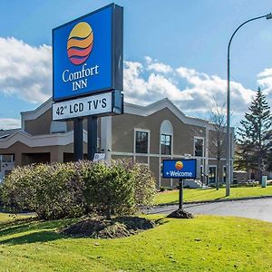 Comfort Inn Brockville Exterior photo