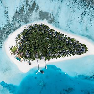 Angsana Velavaru - 20 Percent Off On Return Sea Plane Transfers, Spa, F&B And Watersports, Bookings & Stays Between 15 June - 27 Dec 2024 Meedhoo  Exterior photo