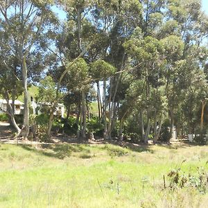 De Hoop Cottages Robertson Exterior photo