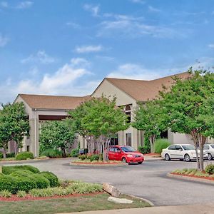 Hotel Super 8 By Wyndham Olive Branch Exterior photo