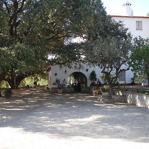 Masia Rural Les Alsines Villa Valls Exterior photo