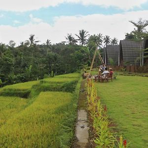 Hotel Omah Bapak Ijen Eco House Licin Exterior photo