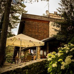 Stolarnia Bed and Breakfast Piła Exterior photo