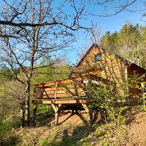 Mon chalet au cœur des Cévennes Villa Vebron Exterior photo