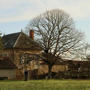 Logis Des Brousses Bed and Breakfast Lhommaize Exterior photo