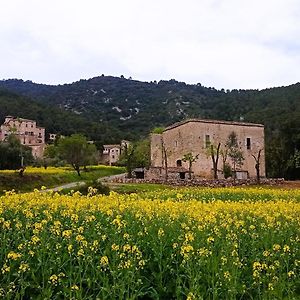 Apartamento El Castell de Segueró Beuda Exterior photo