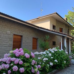 Peaceful Country Living At Apartments At Villa Clara Vimignano-Chiesa Exterior photo