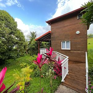 Mahogany Lodge - Oasis Cosy Rivière-Pilote Exterior photo