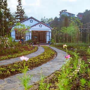 Thanh Truc Villa & Flower Sapa Exterior photo