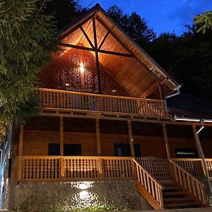V13 Wild Cabin - Traditional Mountain Cabin With Cosy Modern Rooms Gura Teghii Exterior photo