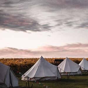 Hotel Coonawarra Bush Holiday Park Exterior photo