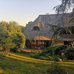 Villa Serenite Noisy-le-Grand Exterior photo