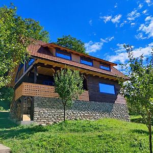 La Sat - Radu Dragu Villa Bertea Exterior photo