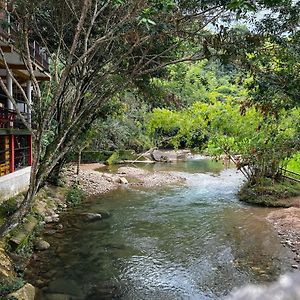 Ecohotel Las Pavas Norcasia Caldas Exterior photo