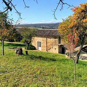 La Cadole du Vigneron, une semaine de sérénité Villa Tournus Exterior photo