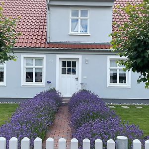 Apartamento Haus Vicus Greifswald Exterior photo