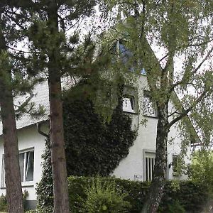 Weitblick Auf Berg, Wald Und Wiese Villa Schmallenberg Exterior photo