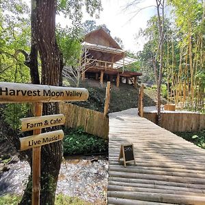 Harvest Moon Valley Ban Pang Luang Exterior photo