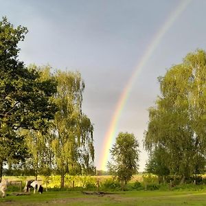 Ferienwohnung Auf Bauernhof In Alleinlage Naturerlebnis Kattenstiegs-Muhle Exterior photo