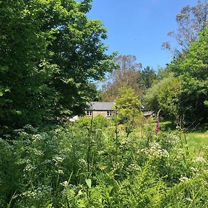 Dog Friendly Cottage With Woodland & Lake Helston Exterior photo