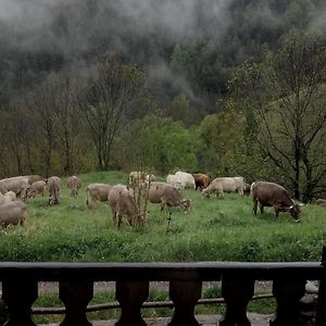 Can Serraima, Casa rural en ple Pirineu Neva Exterior photo