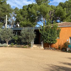 Chambre D'Hotes - Petit Paradyzen - Lac Du Salagou Bed and Breakfast Lacoste  Exterior photo