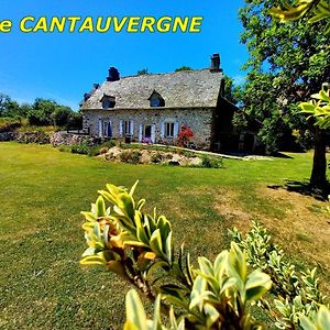 Gite Cantauvergne Villa Vebret Exterior photo