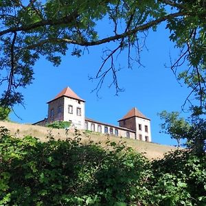 Apartamento Chateau De Gorze Germolles-sur-Grosne Exterior photo