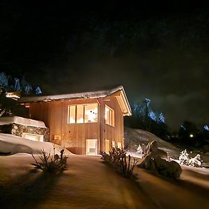 Chalet Ski-In Ski-Out Nendaz Villa Exterior photo