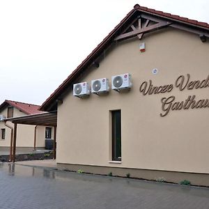 Hotel Vincze Vendeghaz Kiskunhalas Exterior photo