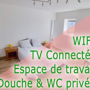 Apartamento Studio - Le Petit Chateau Avesnois - Tv - Wifi - Sdb Privee - Cuisine Partagee Avesnes-sur-Helpe Exterior photo